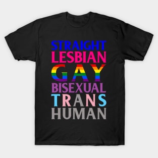 Straight Lesbian Gay Bisexual Trans Human T-Shirt